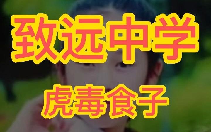 江西上饶致远中学 丁佳怡反转篇哔哩哔哩bilibili