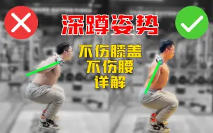 Tải video: 【收藏向】不懂这些，深蹲受伤是迟早的事 I 保姆级深蹲姿势详解