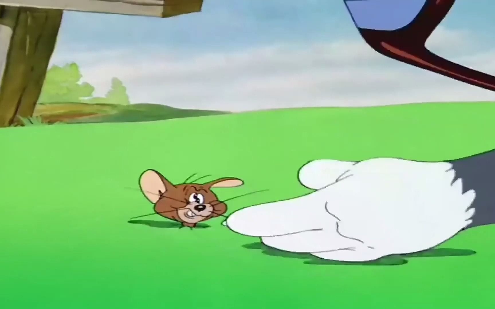 "杰瑞有很多种用途"#猫和老鼠 #专治不开心 #治愈系