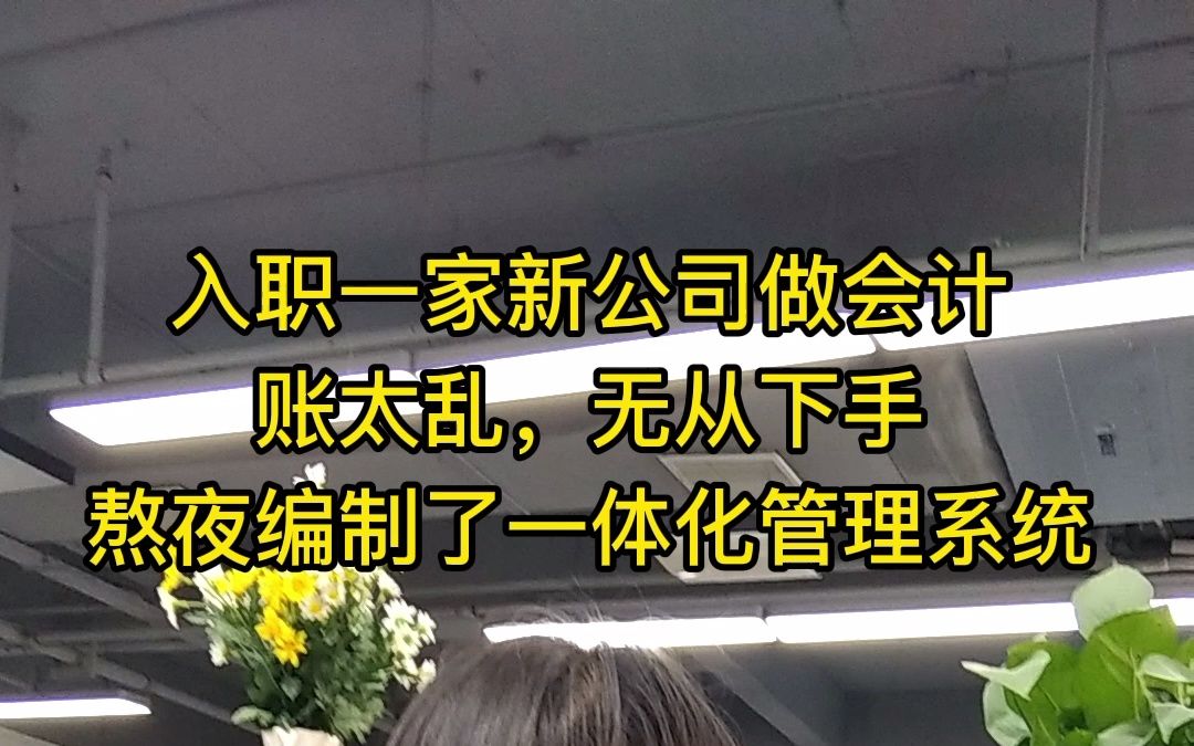 入职一家新公司做会计,账太乱,无从下手,熬夜编制了一体化管理系统!哔哩哔哩bilibili