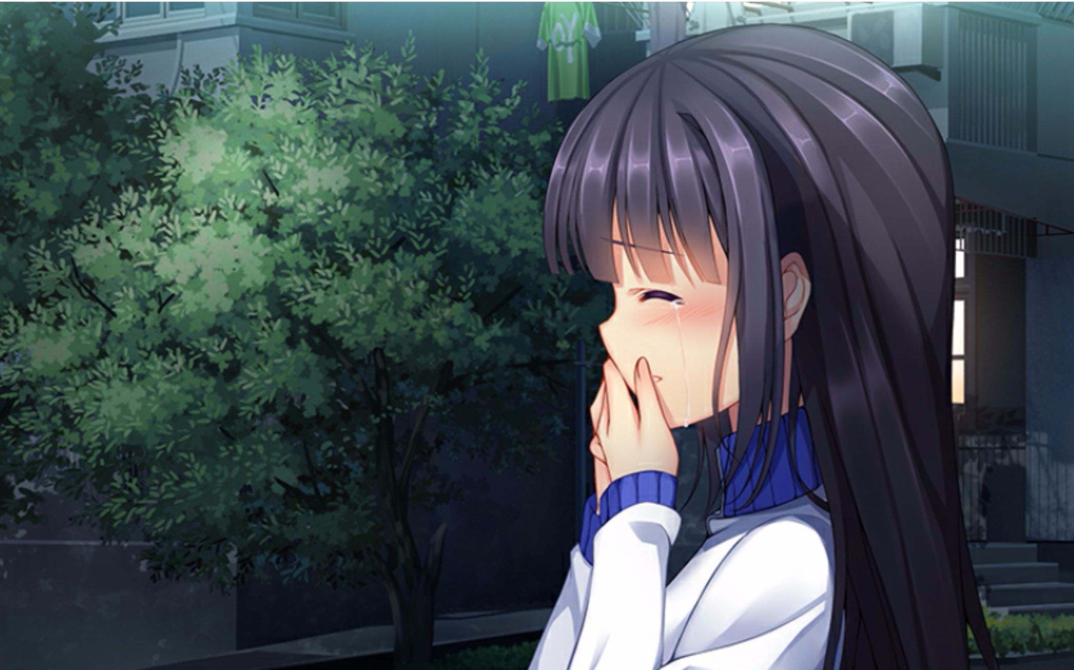 【第五章·文芷线】和一个白学家打《三色绘恋》是一种怎么样的体验