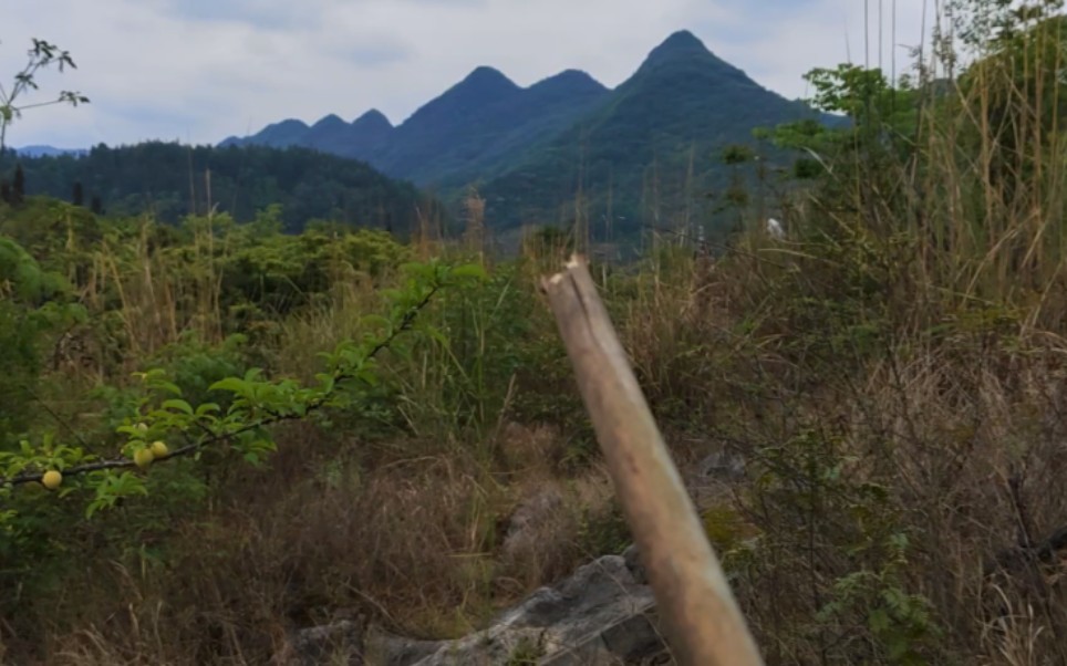 山河堪察云南地形“犀牛望旗”石开独穴地,关拦甚好,朝案雄浑哔哩哔哩bilibili