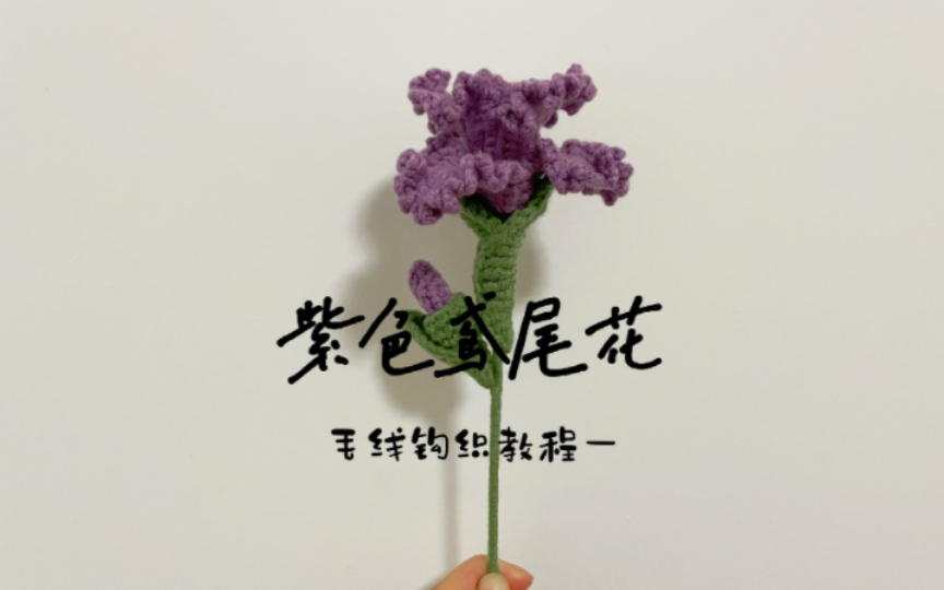 毛线钩织|花束系列|紫色鸢尾 钩织教程一(花朵)哔哩哔哩bilibili