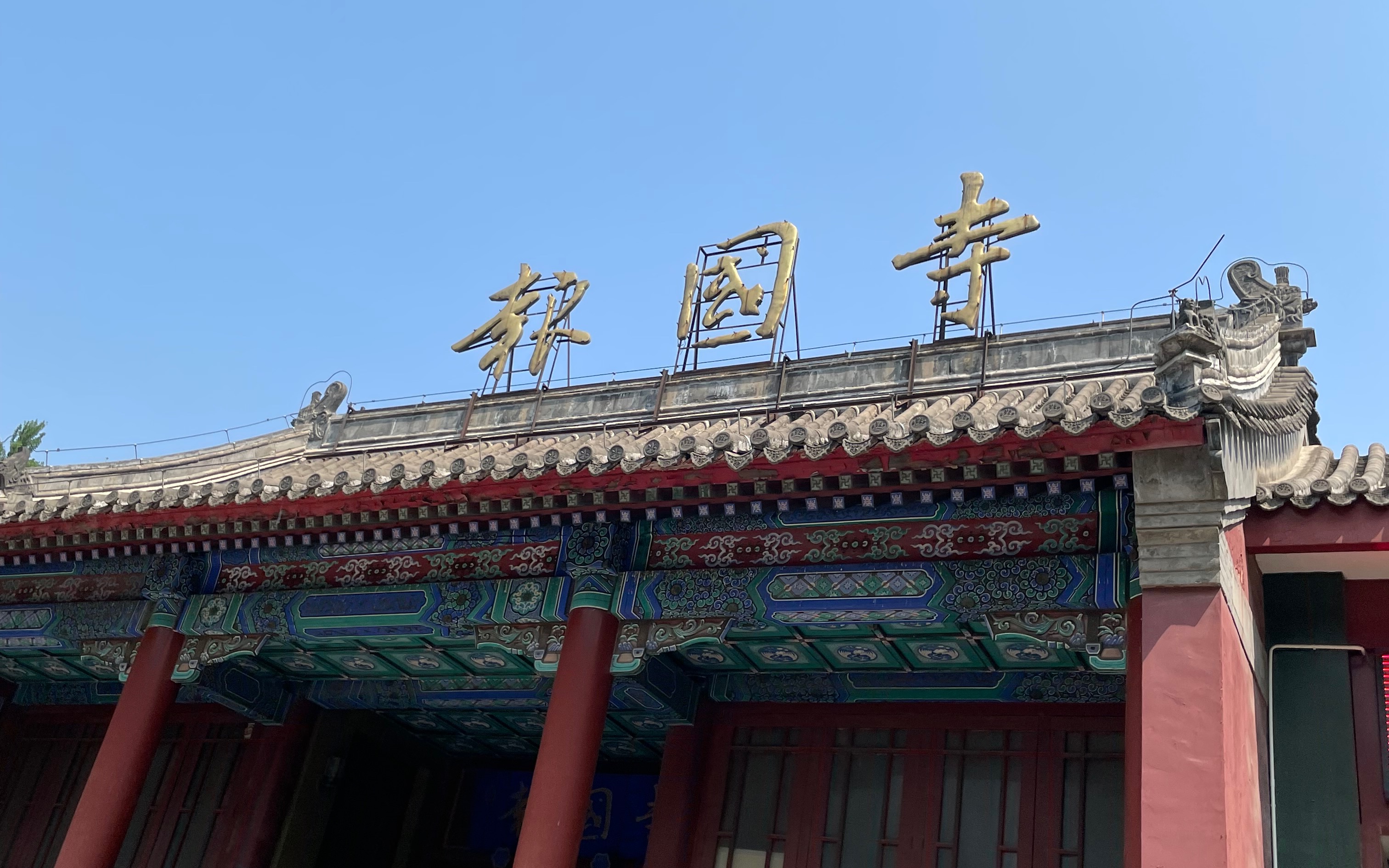 【老鼠vlog】北京报国寺卡展!拆出"冰王子"签字?