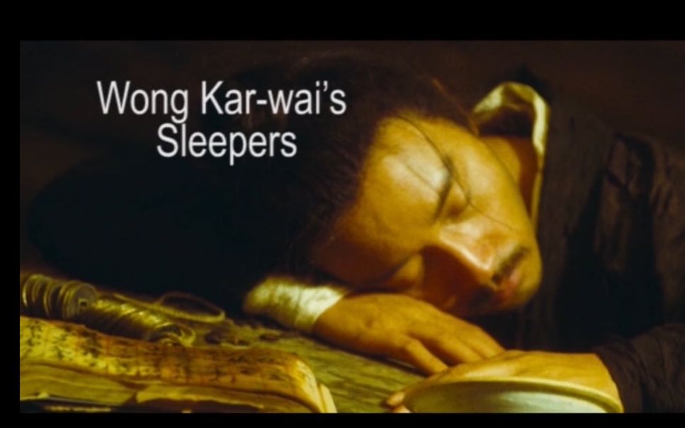 【王家卫电影世界的睡眠者们 / Wang Karwai's Sleepers】哔哩哔哩bilibili