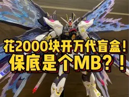 Download Video: 花2000块开万代盲盒！保底竟然是个MB？