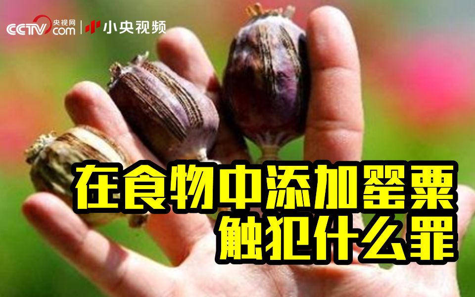 [图]在食物中添加罂粟触犯什么罪