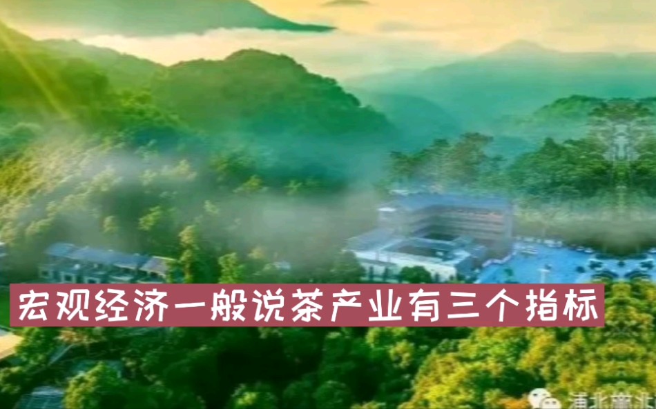 中国茶园面积到底是多少万亩?为什么专家说供大于求?趁着假期跟着小编一起来学习,补补中国茶产业的宏观经济课.哔哩哔哩bilibili