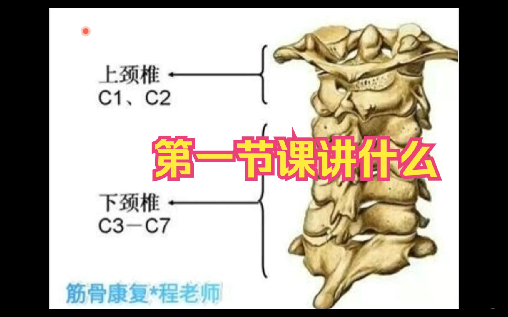 颈椎第一节课讲什么哔哩哔哩bilibili