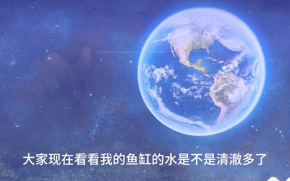 终于确定鱼缸水质不好的原因,原来水流太大也会影响水质.哔哩哔哩bilibili