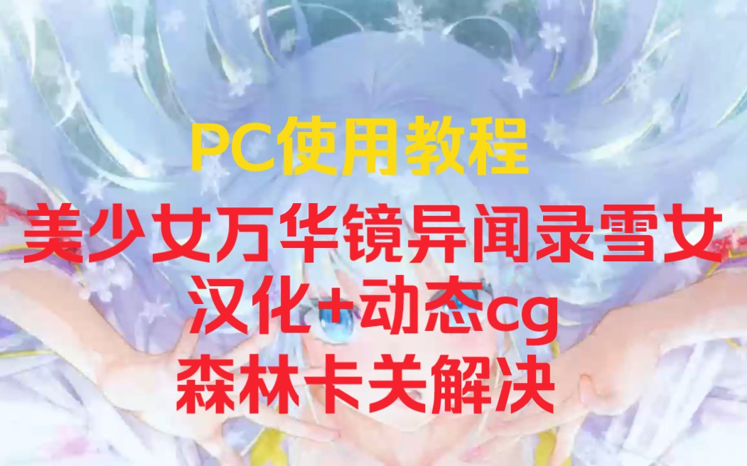 [图]【PC使用教程】动态补丁/教程攻略/汉化教程/美少女万華鏡異聞 雪おんな/少女万华镜异闻 雪女