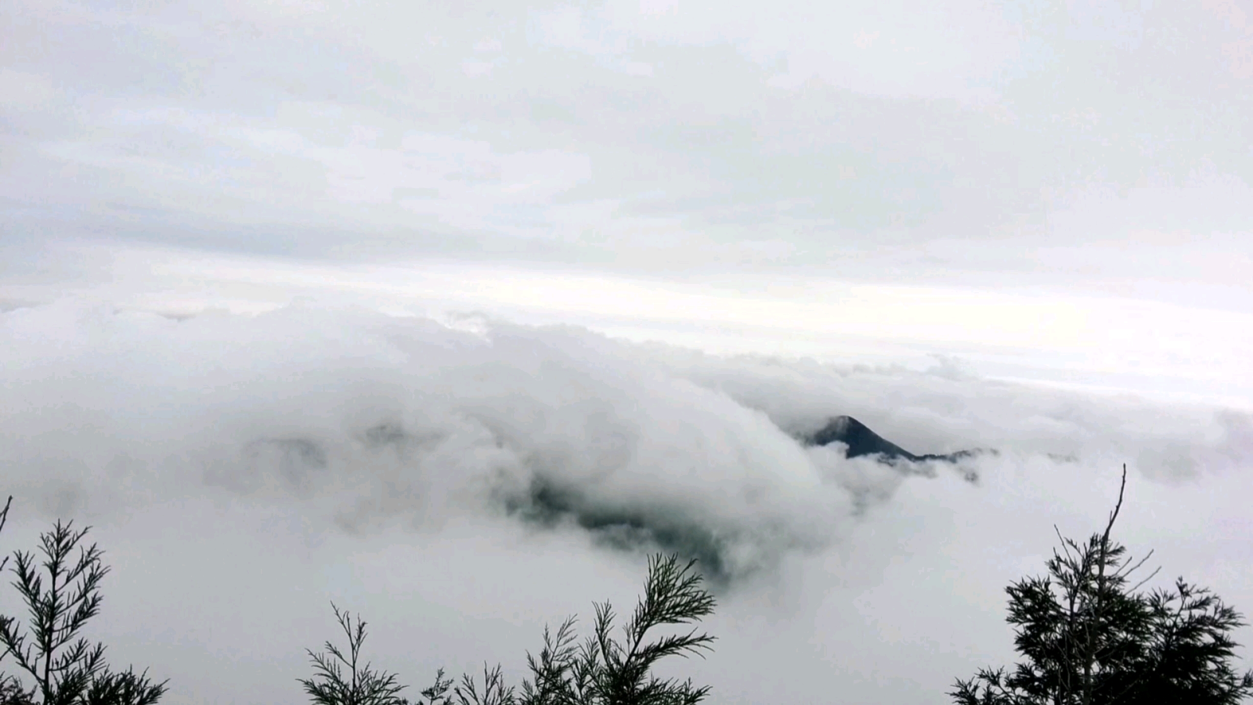 《无题》衡山,华山,庐山,黄山,爱好诗歌哔哩哔哩bilibili