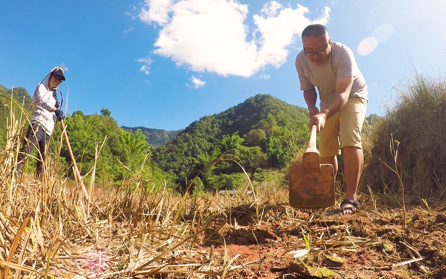 都说混不好就回农村种地,笨手笨脚也不是种地的料!这该怎么办?