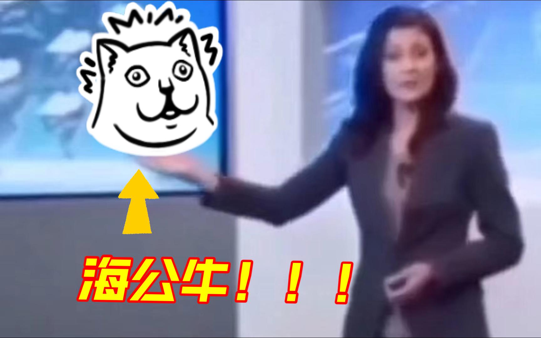 “海公牛”主持人失误爆笑场面哔哩哔哩bilibili