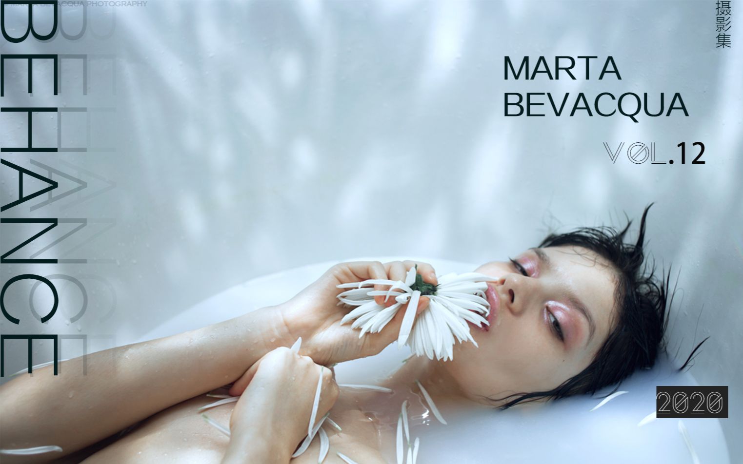 Behance影集推荐 VOL.12 Marta Bevacqua哔哩哔哩bilibili