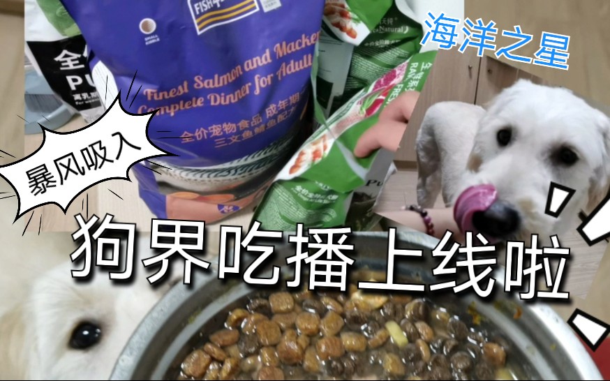 [图]第八十四天|拆箱海洋之星进口狗粮三文鱼鲭鱼，小猪猪吃食的狗子～