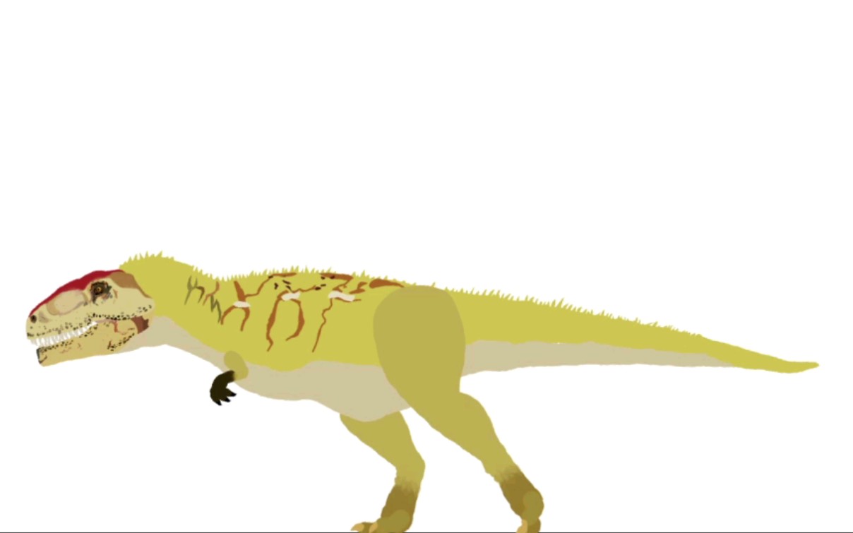 南方巨兽龙行走动画_哔哩哔哩_bilibili