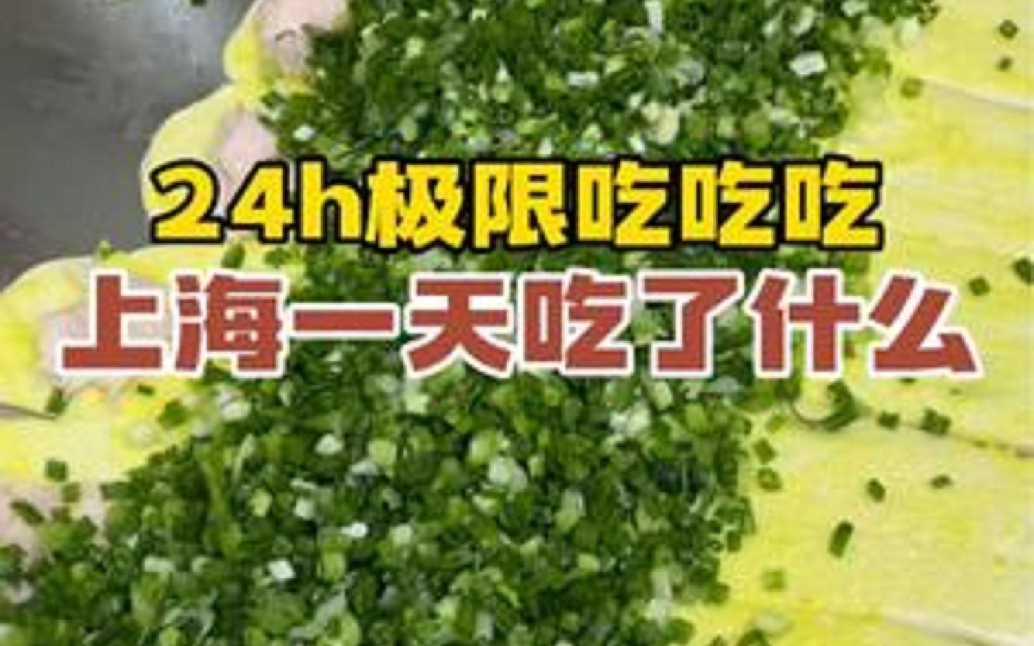 我来上海一天都吃了什么 体验24小时极限挑战吃吃吃 一日上海美食攻略城市里的烟火气本地宝藏美食哔哩哔哩bilibili