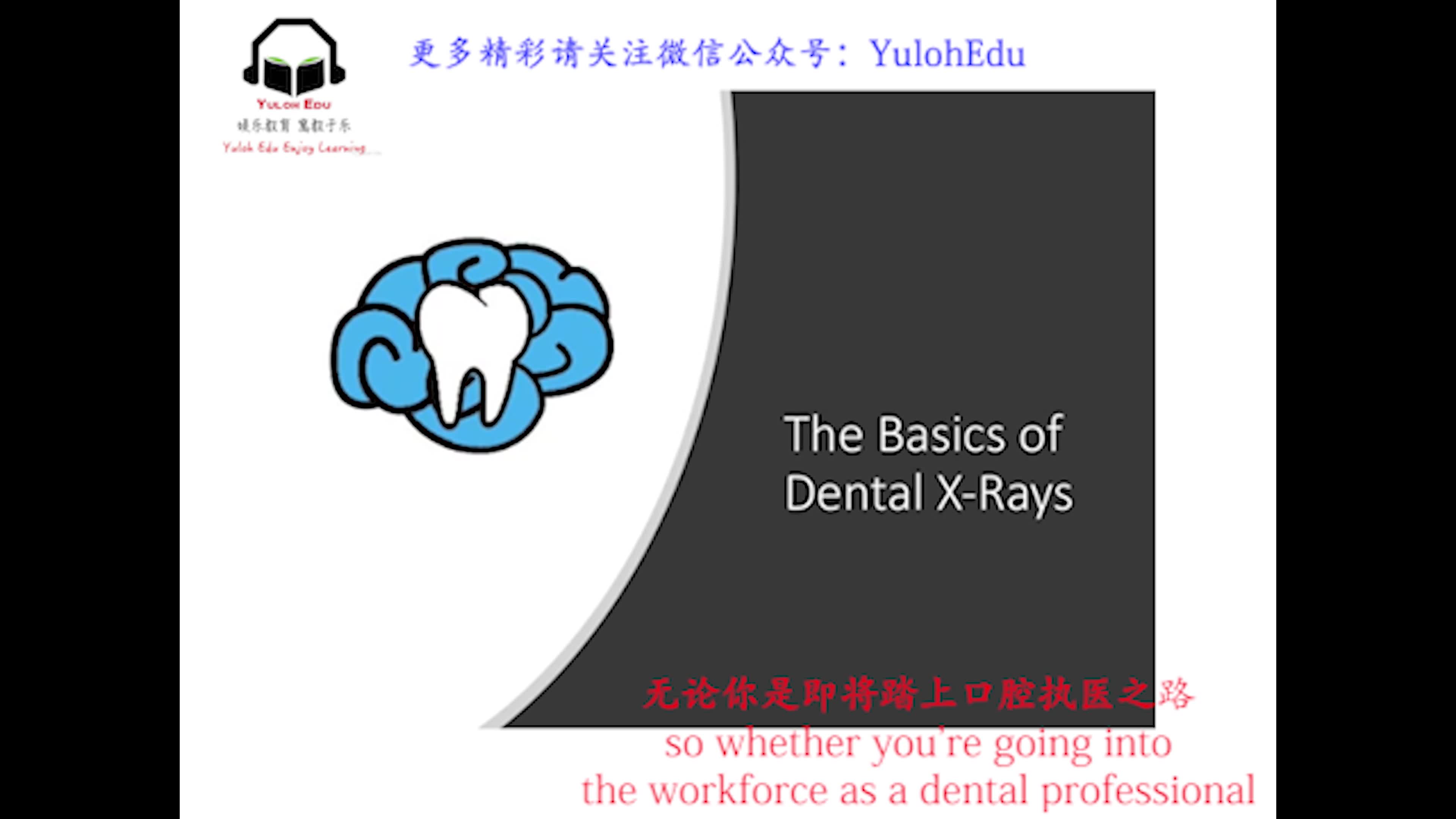 从零到一走近口腔X射线影像片  How to Read Dental XRays哔哩哔哩bilibili