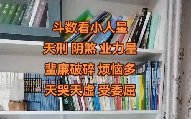 斗数看小人星 天刑阴煞 业力重 蜚廉破碎 烦恼多 天哭天虚 受委屈哔哩哔哩bilibili