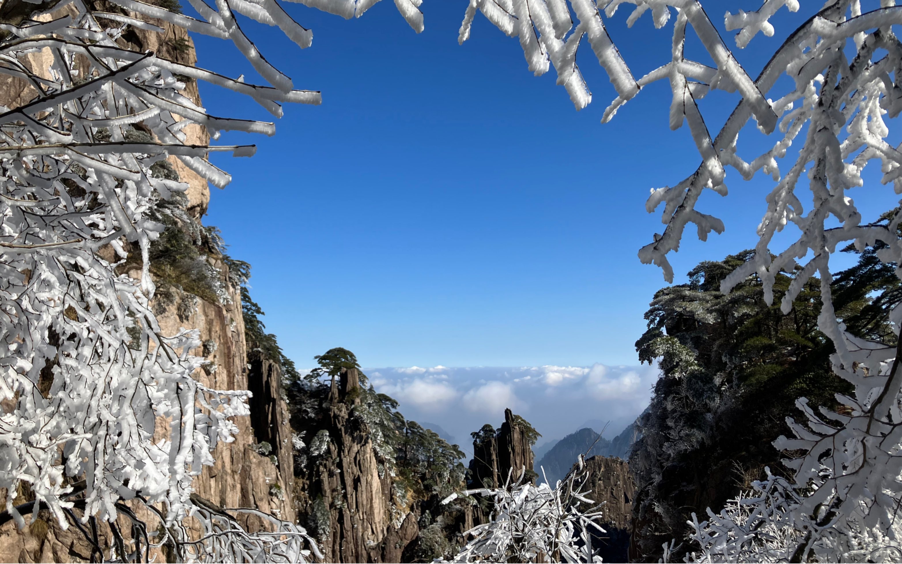 [图]内心的雪景 ｜ 初霁·游黄山