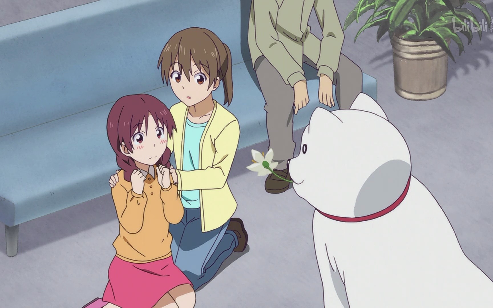 【笨女孩】人不如狗系列,从此走上狗生巅峰