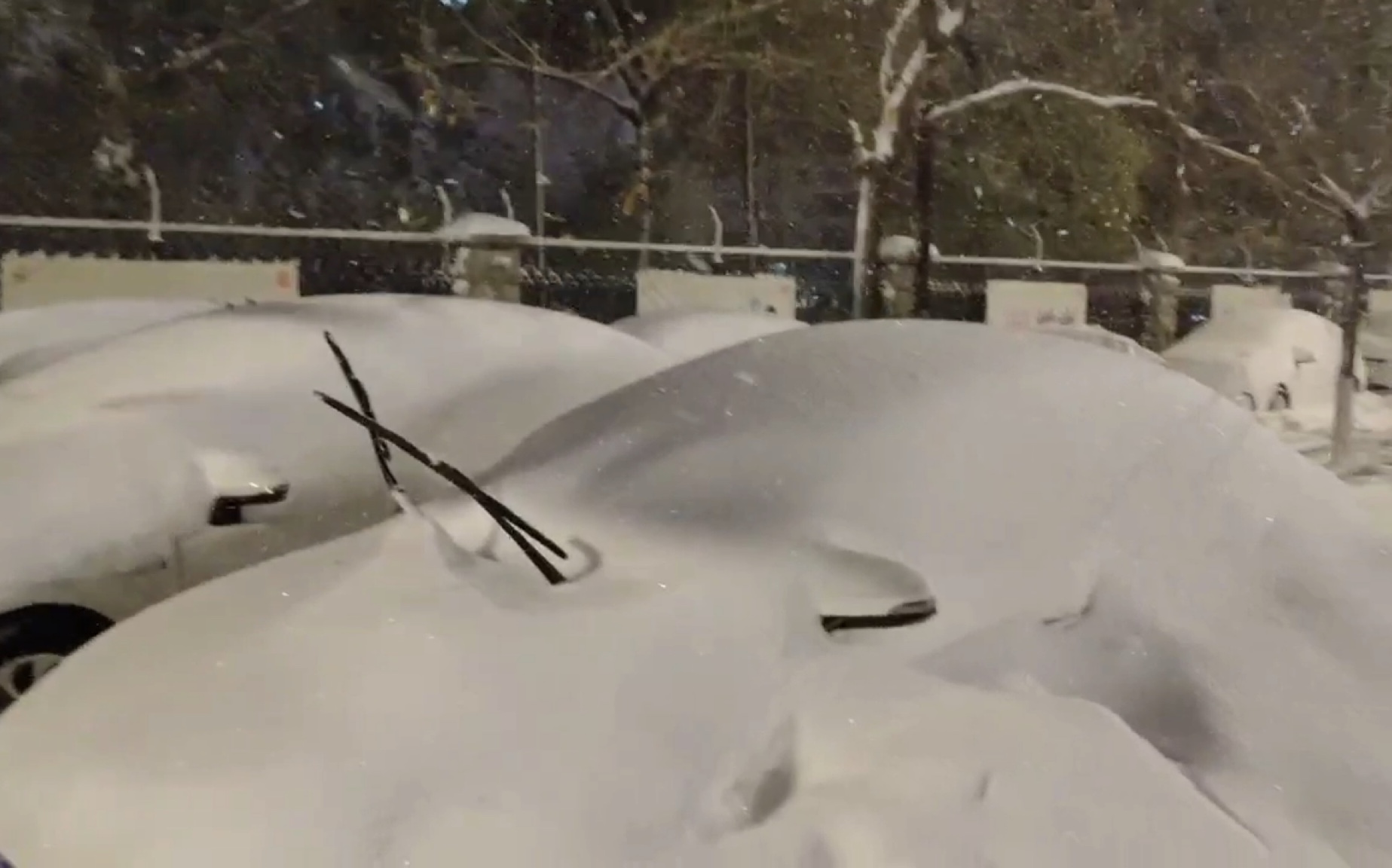 [图]东北沈阳大雪，沈阳有史以来最大的雪