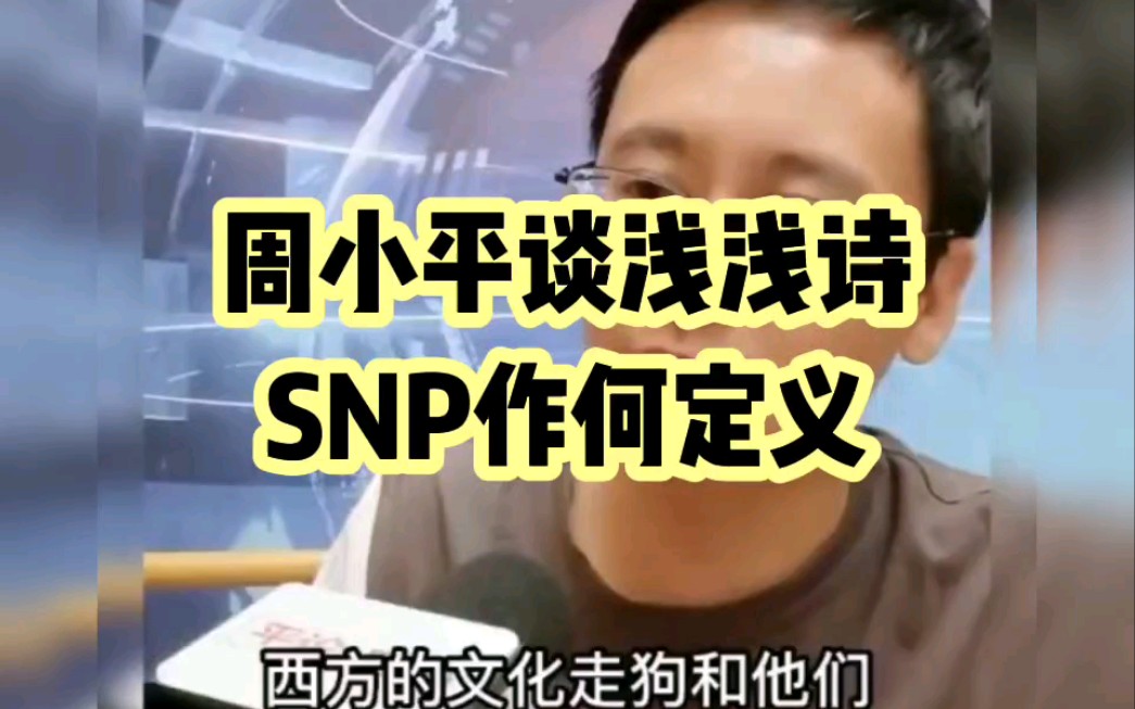 [图]周小平谈浅浅诗歌，SNP作何定义！