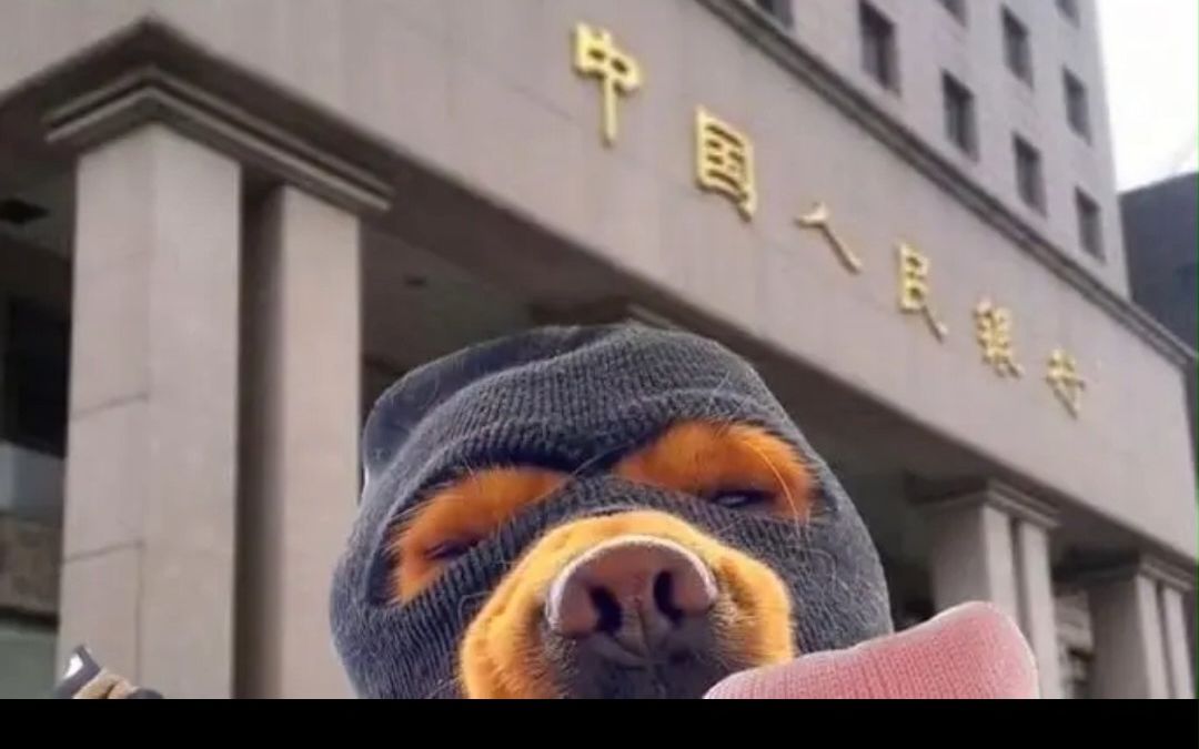 做大做强,再创辉煌