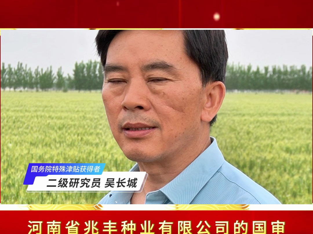 国审小麦兆丰6号观摩会现场