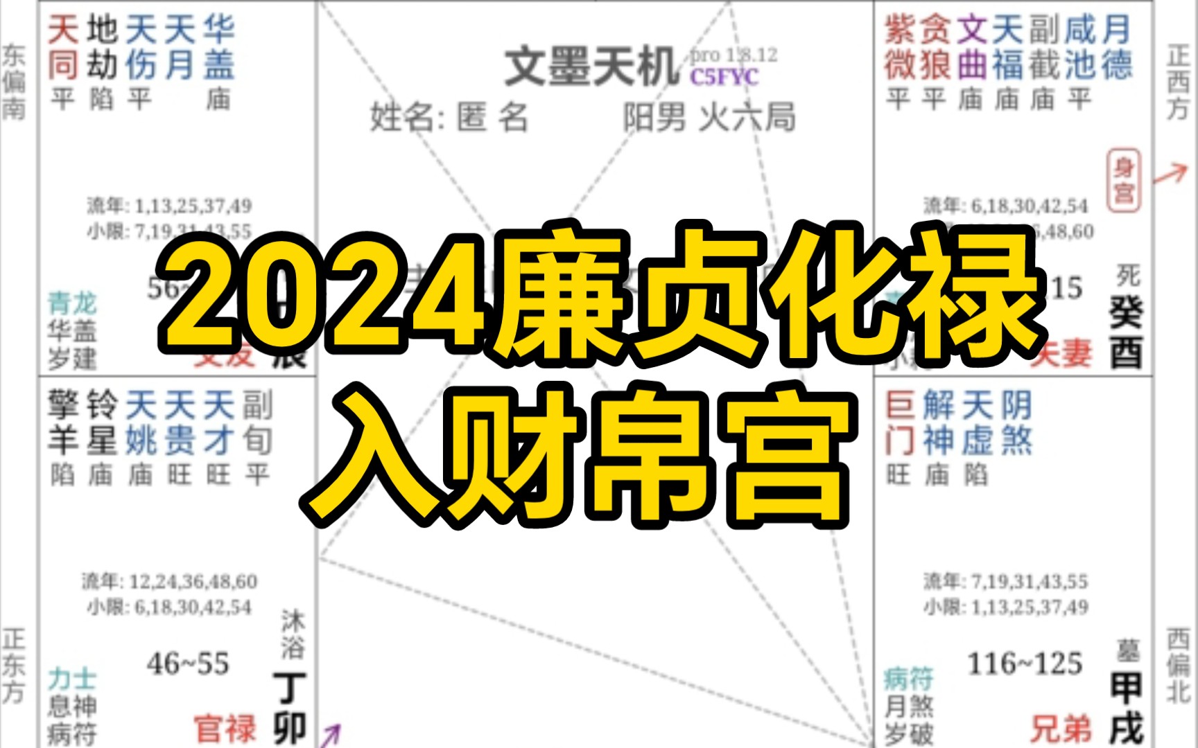 2024廉贞化禄入财帛宫哔哩哔哩bilibili