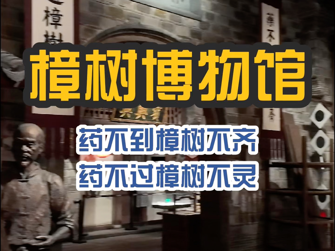 「药不到樟树不齐,药不过樟树不灵」,江西省樟树市博物馆虽然小众但建设运营非常用心哔哩哔哩bilibili