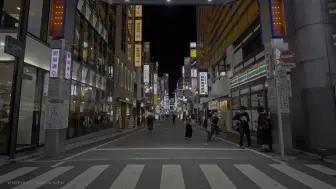 Download Video: 【4K HDR】东京红灯区夜行—新宿歌舞伎町散步—日本徒步之旅