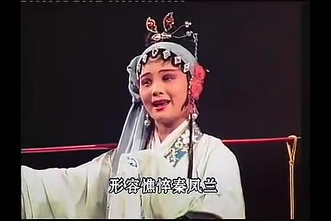 潮剧秦凤兰救夫全剧标清