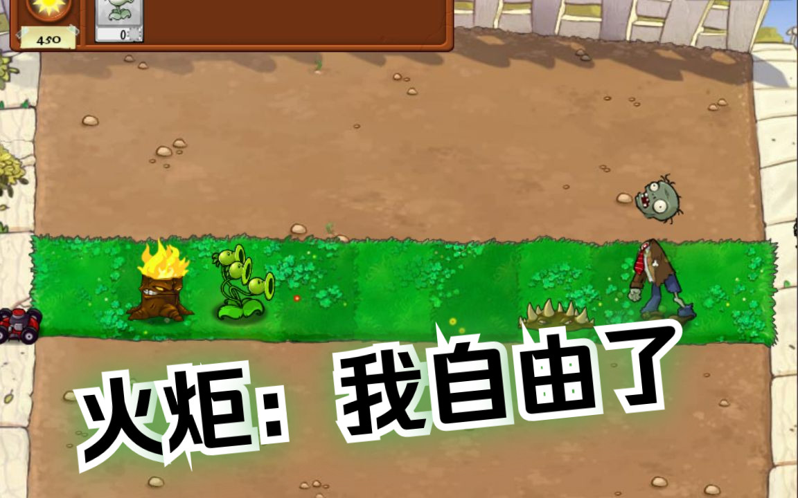 植物大战僵尸模仿者随机版