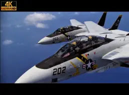 Download Video: 致敬我们最喜欢的猫猫 ! !  F-14格鲁曼雄猫4k超燃混剪