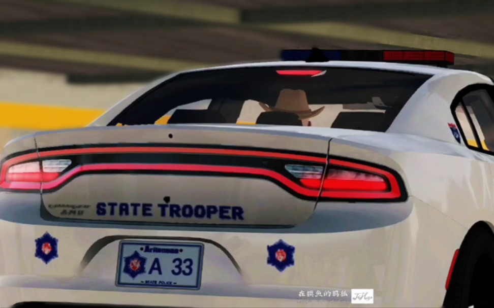 美国警车车牌格式图片