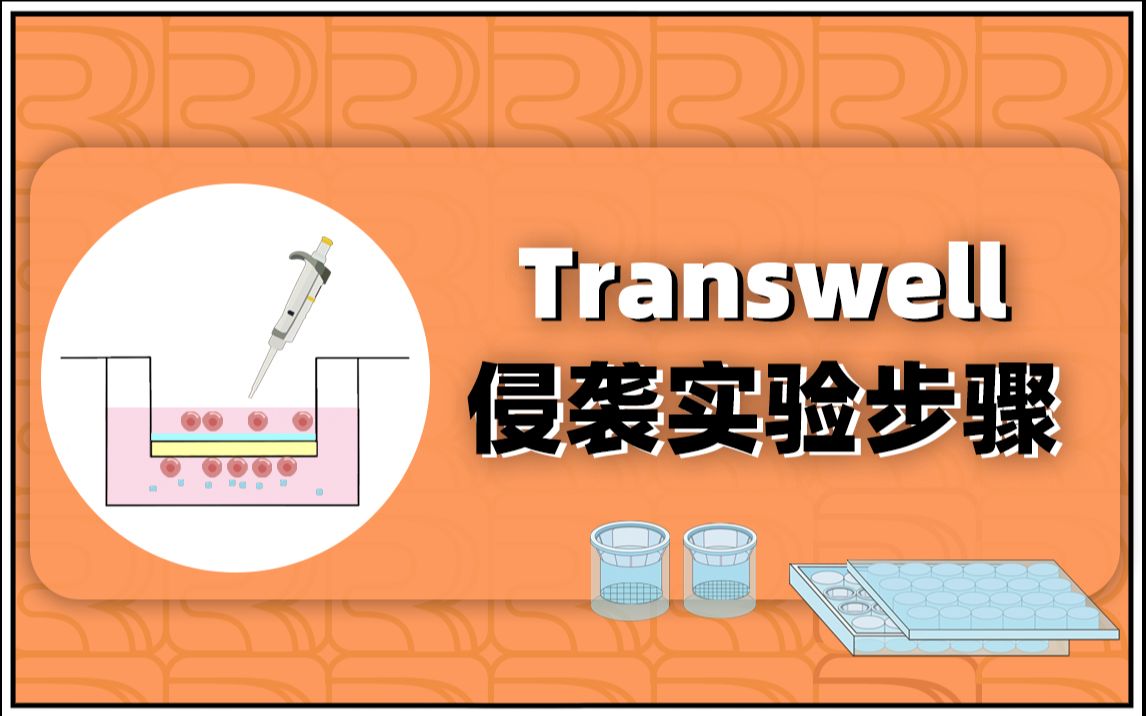 [图]生物实验小白必备：Transwell侵袭实验步骤详解