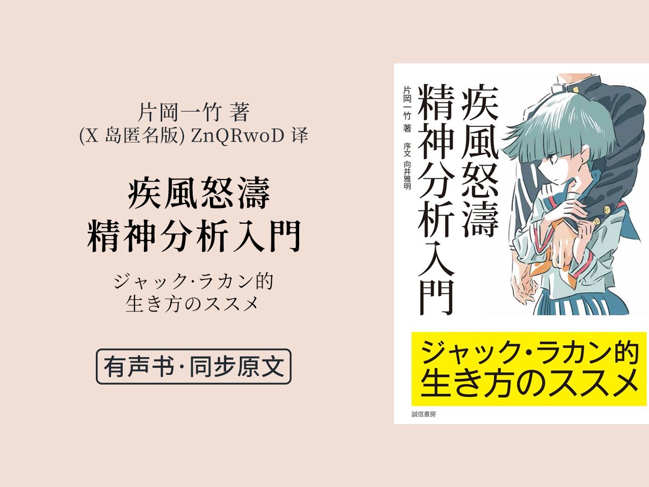 【同步原文】「疾风怒涛精神分析入门」片冈一竹 著 ZnQRwoD(X 岛匿名版)译 (完结)哔哩哔哩bilibili