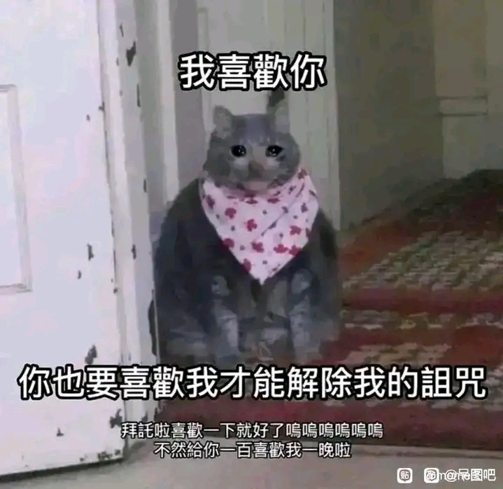 【猫梗图】各种猫猫图!1.0哔哩哔哩bilibili