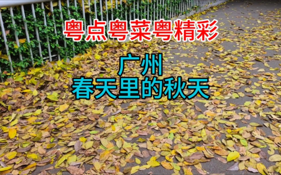 广州春天里的秋天哔哩哔哩bilibili