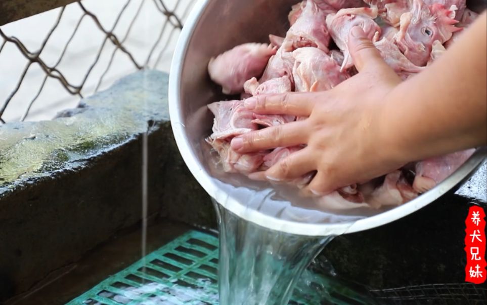 [图]【狗狗吃生肉】“穷人穷养，富人富养”喂狗吃生肉你所不知道的那些事