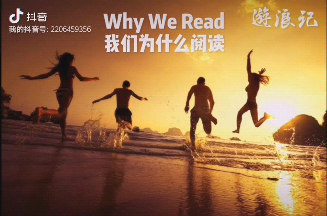 Why We Read | 我们为什么阅读 by游浪记林小丹哔哩哔哩bilibili