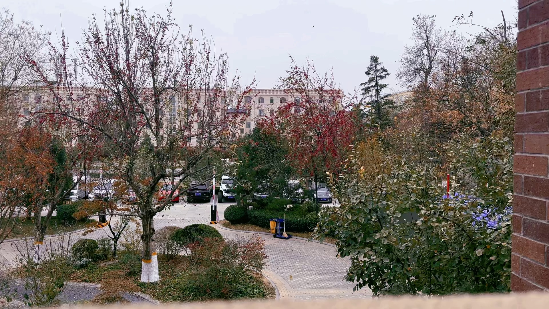 风吹落叶～又一冬