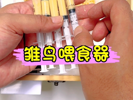 雏鸟幼鸟喂食打奶器