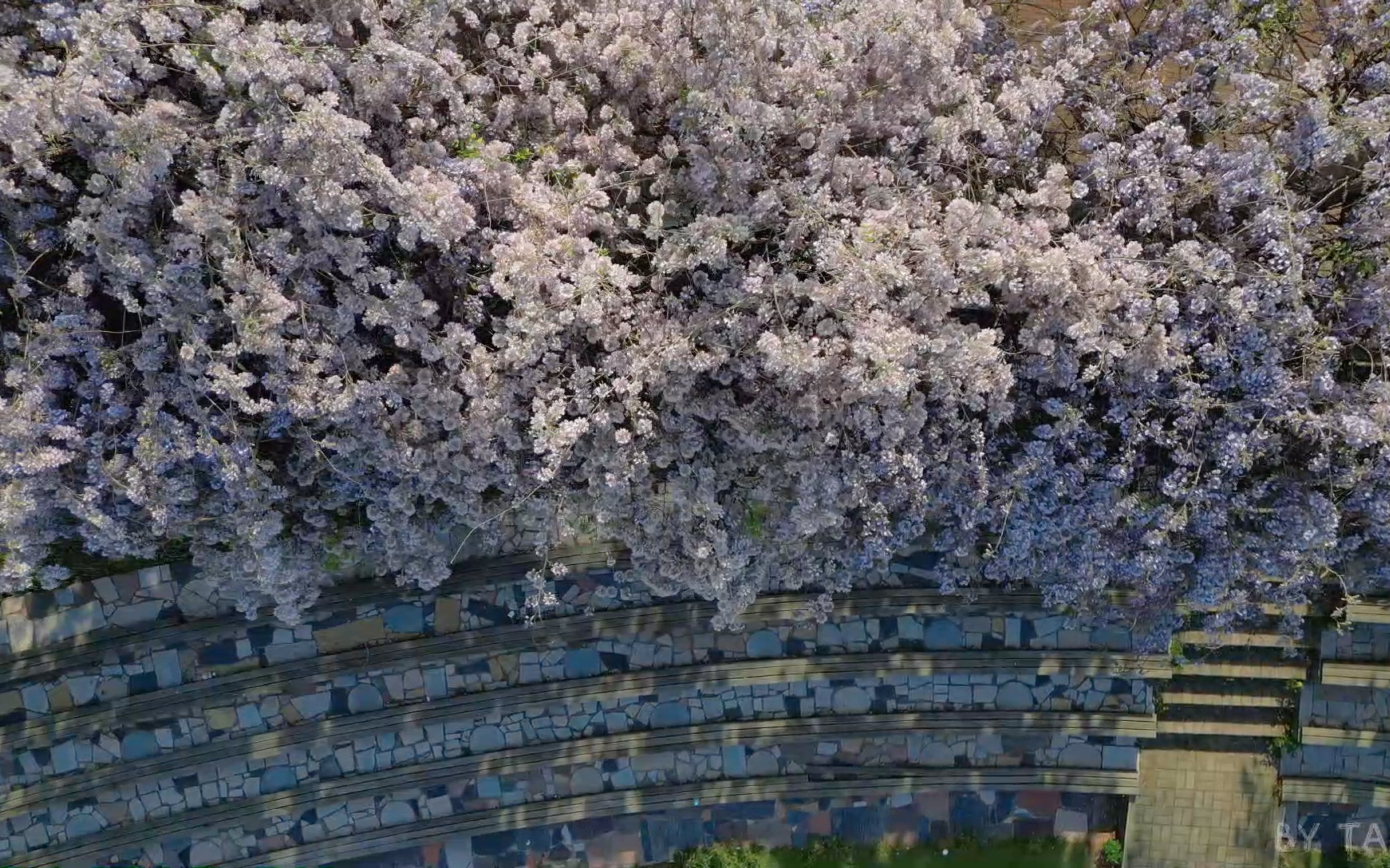 【校园风景】春日—南京工业大学哔哩哔哩bilibili