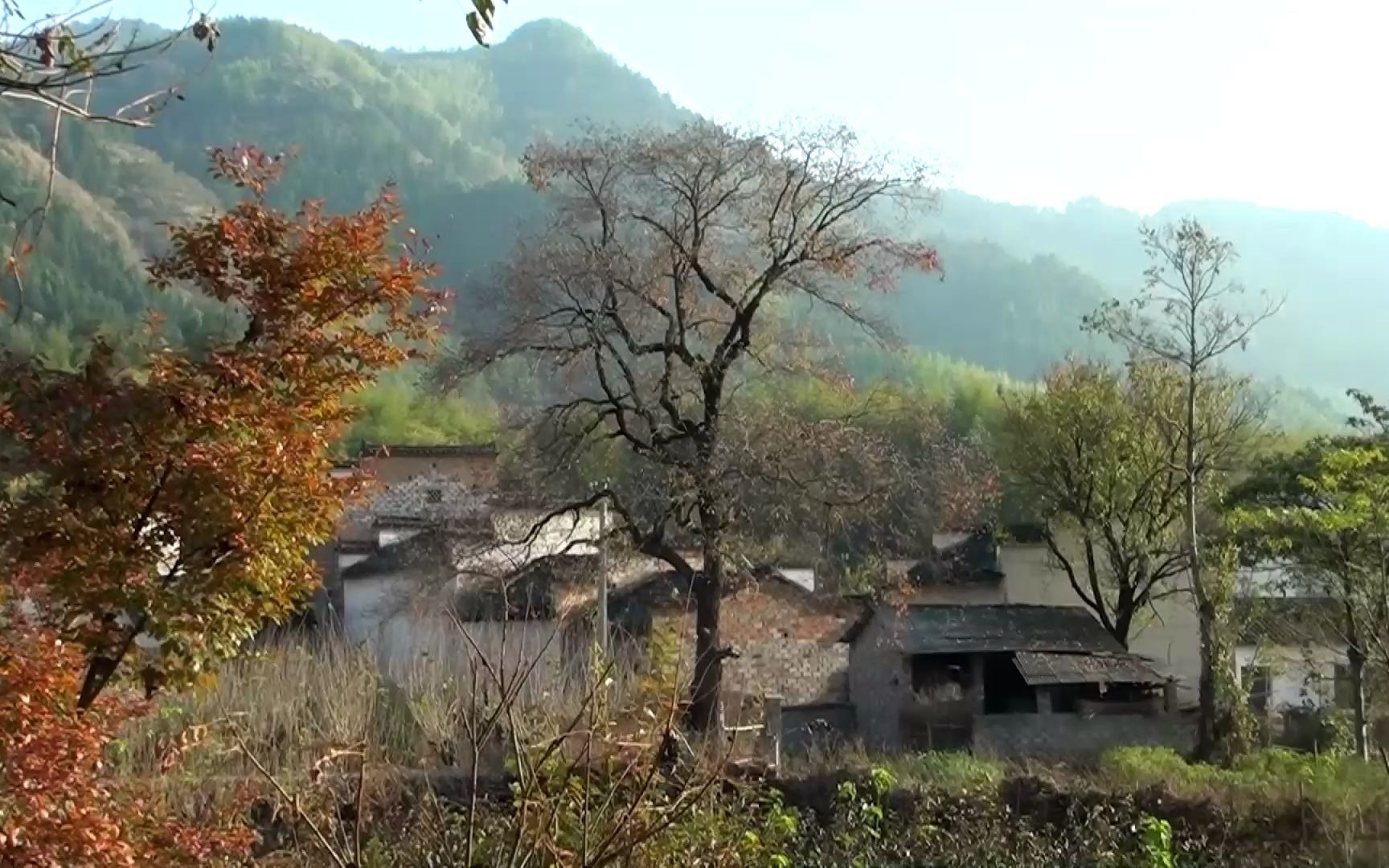 [图]水墨徽州——画意乡村