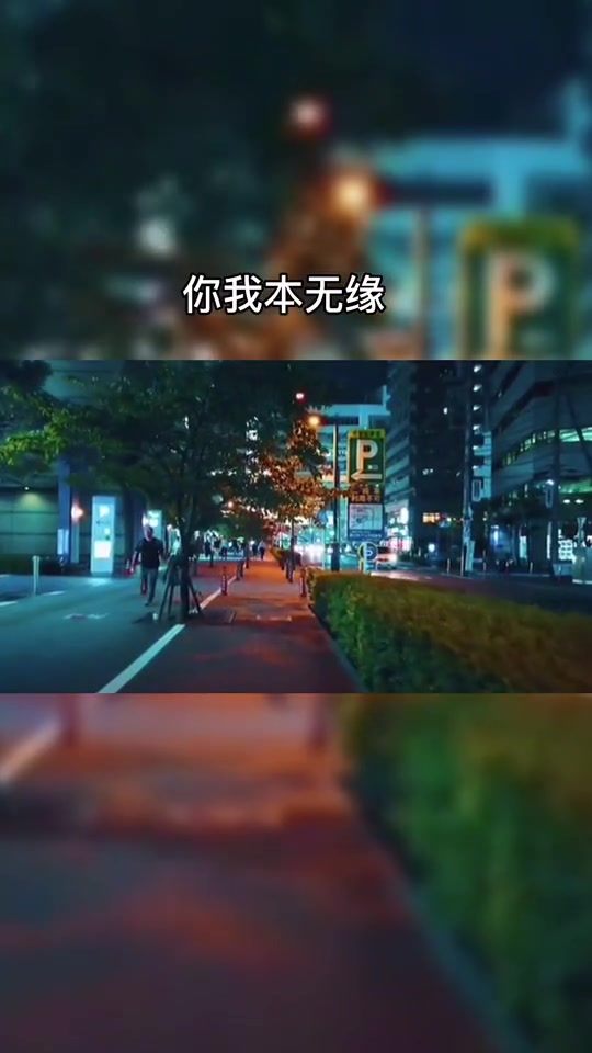 [图]“你我本无缘 全靠我死撑！”#情感语录 #情感文字视频 #伤感