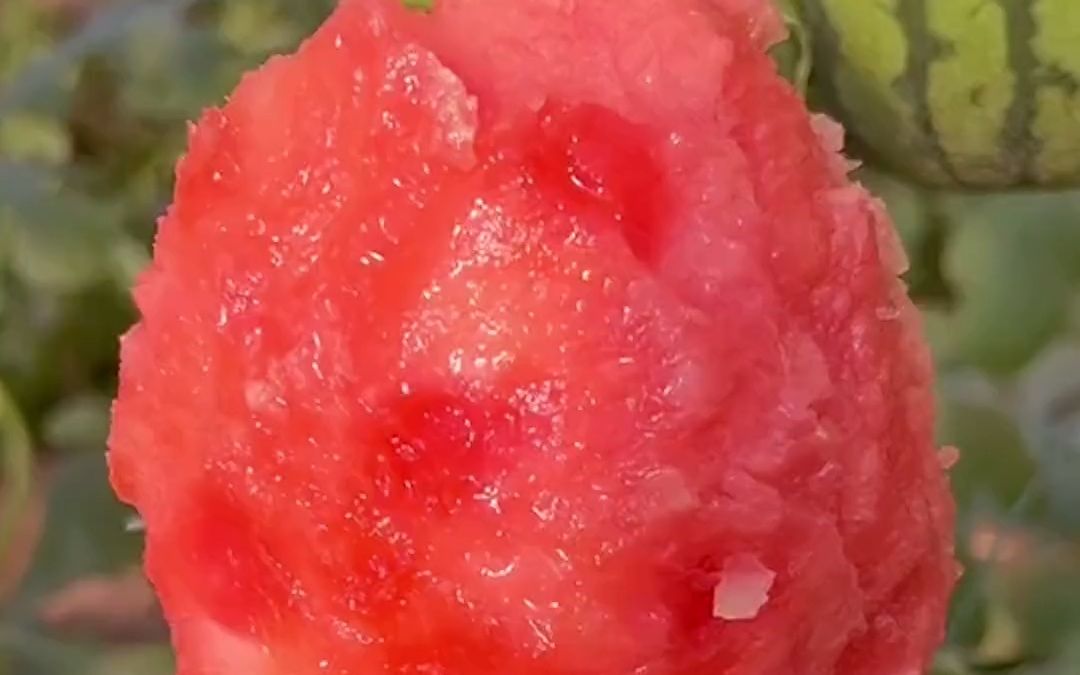 用手剥皮就能吃的西瓜