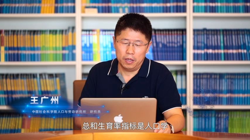 人口预测方法与应用(十)——总和生育率的性质和可能的误用哔哩哔哩bilibili